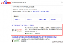 误区解读,网站降权无需看SITE命令,SE
